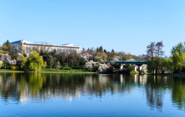 Tineretului Parkı, İlkbahar, Bükreş, Romanya.