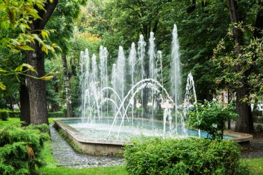 Sibiu 'dan Astra Parkı, şehir merkezinin bir parçası. Romanya.