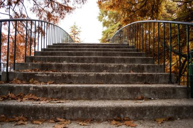 Sonbahar mevsiminde düşen yapraklarla kaplı merdivenleri olan bir köprü. Herastrau Parkı, Bükreş, Romanya.