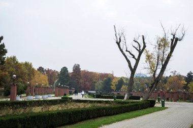 Bükreş, Romanya 'daki Herastrau parkında sonbahar manzarası.