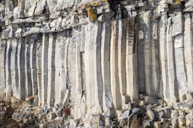 Romanya 'nın Brasov ilinin Racos ilçesinden bazalt sütunlar.