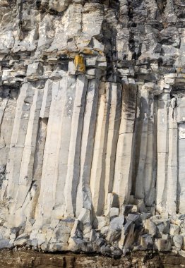 Romanya 'nın Brasov ilinin Racos ilçesinden bazalt sütunlar.