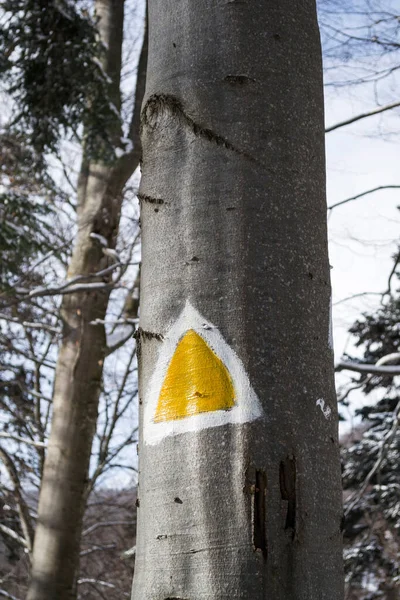 在Azuga和Grecului山谷之间的冬季景观 以黄色三角形标示的道路 罗马尼亚 — 图库照片