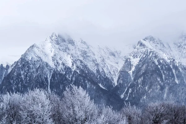 Die Gipfel Coltii Morarului Und Bucsoiu Vom Gipfel Grecului Aus — Stockfoto