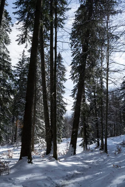 在Saua Baiului和Gura Diham别墅之间的冬季景观 罗马尼亚 — 图库照片