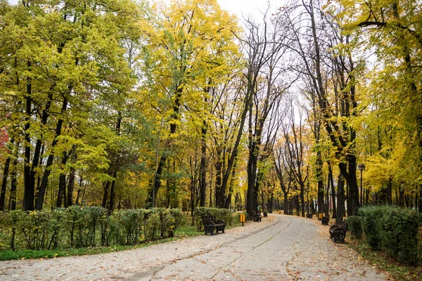 Gasse Herastrau Park Herbstlichen Farben Bukarest Rumänien — Stockfoto