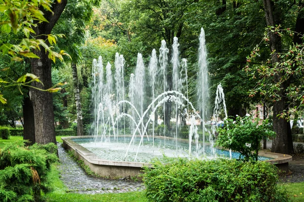 Sibiu Dan Astra Parkı Şehir Merkezinin Bir Parçası Romanya — Stok fotoğraf