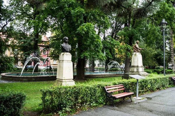 Sibiu Romania Ağustos 2020 George Baritiu Nun Heykeli Astra Park — Stok fotoğraf