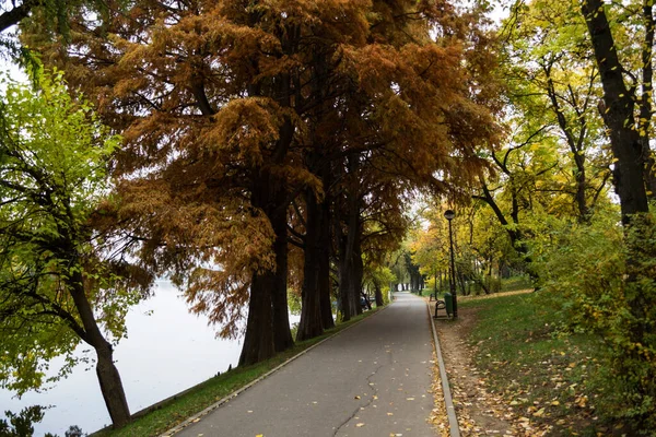 Gasse Herastrau Park Herbstlichen Farben Bukarest Rumänien — Stockfoto