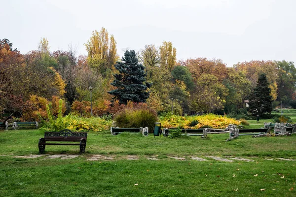 Autumn Landscape Herastrau Park Bucharest Romania — Stock Photo, Image
