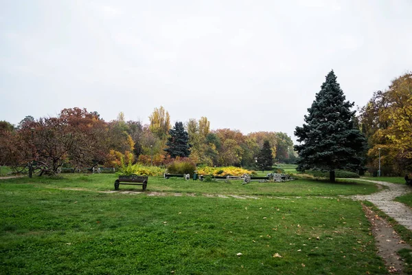 Őszi Táj Herastrau Parkban Bukarest Románia — Stock Fotó