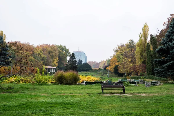 Bucharest Romania November 2020 Autumn Landscape Herastrau Park — Stock Photo, Image