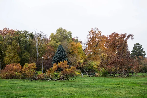 Herbstlandschaft Herastrau Park Bukarest Rumänien — Stockfoto