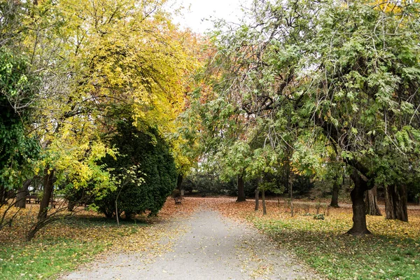 Gasse Herastrau Park Herbstlichen Farben Bukarest Rumänien — Stockfoto