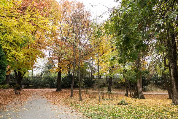 Gasse Herastrau Park Herbstfarben Bank Umgeben Und Mit Blättern Bedeckt — Stockfoto