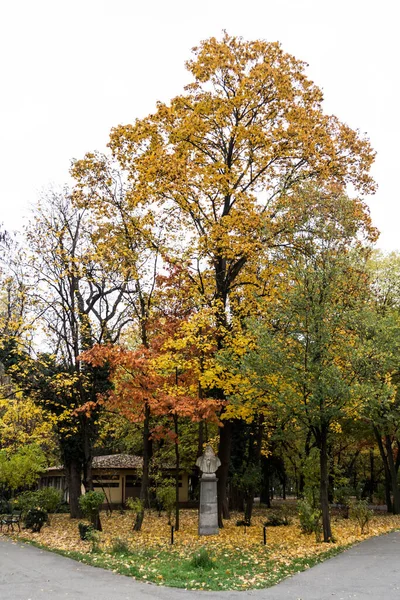 Herbstlandschaft Herastrau Park Und Leonardo Vinci Statue Bukarest Rumänien — Stockfoto