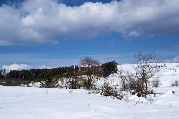 冬季风景 罗马尼亚布拉索夫县Racos — 图库照片