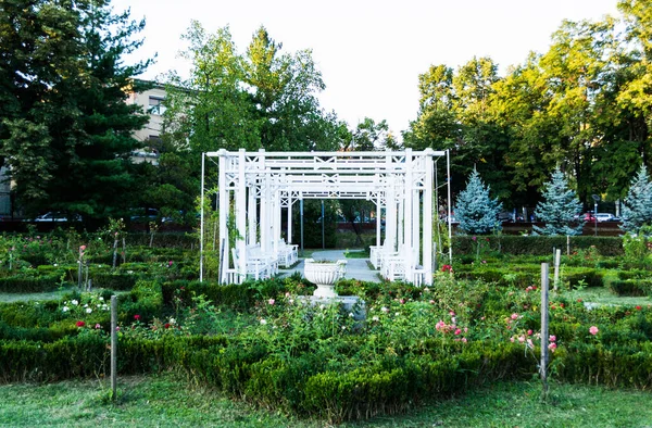 Romanya 'nın Timisoara kentinden Gül Parkı (Rozelor Parkı).