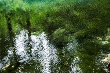 Ochiul Beiului zümrüt gölü, su altyapısı algler, balıklar ve taşlar. Şili Nerei-Beusnita Ulusal Parkı, Banat, Romanya.