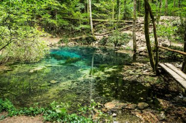 Ochiul Beiului, Ulusal Park Cheile Nerei 'deki zümrüt göl - Beusnita, Banat, Romanya.