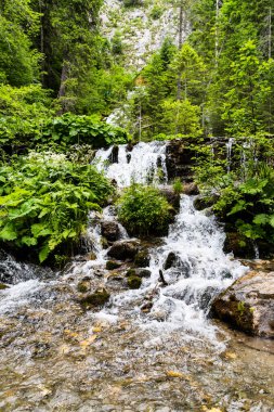 7 pınar şelalesi (cascada 7 izvoare), Bucegi dağları, Romanya.