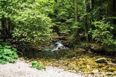 Beu Nehri. Ochiul Beiului gölünün köprüsü. Cheile Nerei-Beusnita Ulusal Parkı, Romanya.