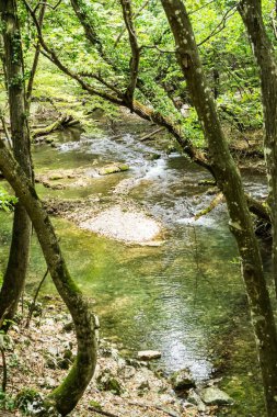 Beu Nehri. Cheile Nerei-Beusnita Ulusal Parkı, Romanya.