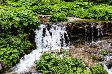 7 pınarlı şelalenin (cascada 7 izvoare), Bucegi Dağları, Romanya.