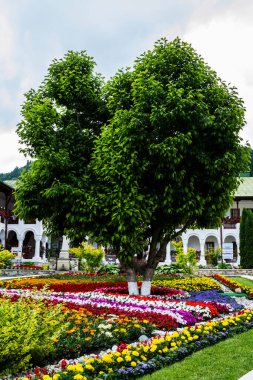 NEAMT, ROMANIA - 22 Haziran 2019 Agapia Ortodoks Manastırı. Agapia Köyü.