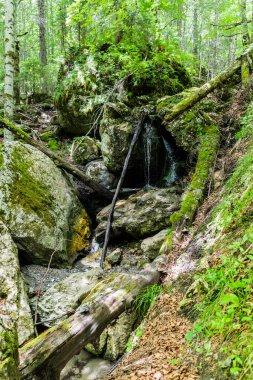 Zanoagei, Karpatlar 'ın dağlarını doldurur. Romanya, Avrupa.