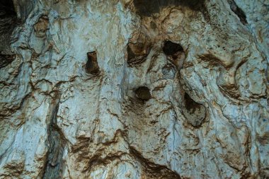 Tuna Nehri 'nin sol kıyısında Ciucaru Mare dağ sırasındaki Cazanele Mari' de bulunan Gazi mağarasının duvarı. Romanya