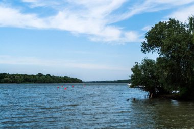 Tuna Deltası 'ndaki güzel manzara, lüks bitki örtüsü. Romanya.