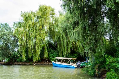DANUBE DELTA, ROMANIA - 15 AĞUSTOS 2019 Tuna Deltası 'nda güzel bir manzara, kıyı şeridinde yelken açmak için tekneler.
