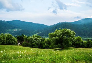 Gura Humorului 'de panoramik manzara, Suceava ilçesi, Bucovina, Romanya.