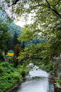 Cerna Nehri 'nin her iki yakasındaki turizm beldesi Baile Herculane, doğal faktörler olarak Akdeniz altı etkileri ve mineral suları ile anlık bir depresyon iklimine sahip. Romanya.