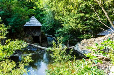 Rudaria 'dan su değirmeni -Eftimie Murgu - Romanya köyü, Unesco dünya mirası.