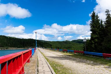 DAMBOVITA, ROMANIA - JULE 04, 2021: Bolboci Barajı Romanya 'nın Bucegi Massif kentindeki Ialomita Nehri üzerinde yer alıyor.