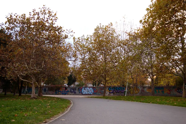 Allée Isolée Dans Parc Tineretului Bucarest Avec Des Couleurs Automne — Photo