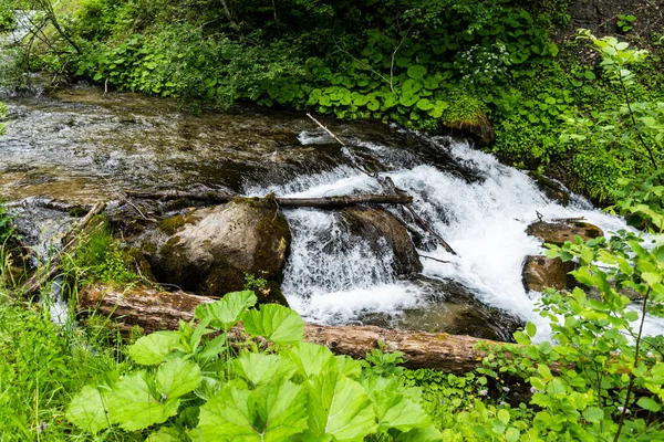Água Proveniente Nascentes Cachoeira Cascada Izvoare Bucegi Montanhas Roménia — Fotografia de Stock