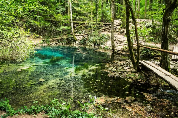 Ochiul Beiului Smaragd Cheile Nerei Nemzeti Parkban Beusnita Banat Románia — Stock Fotó