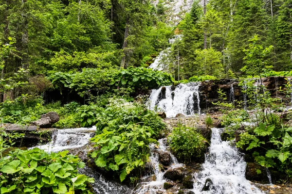 Springs Waterfall Cascada Izvoare Bucegi Mountains Romania — Stock Photo, Image