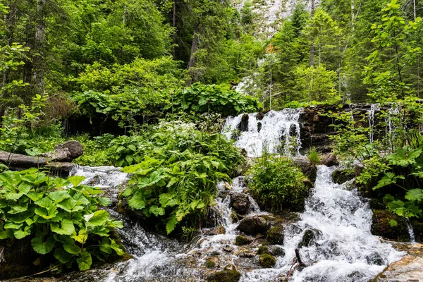 Källor Vattenfall Cascada Izvoare Bucegi Berg Rumänien — Stockfoto