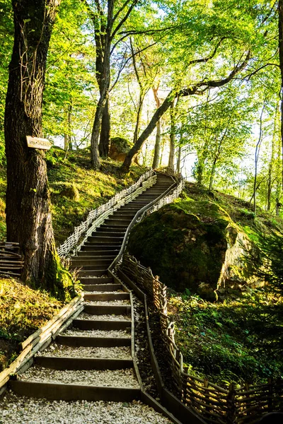 모체로 길이야 Kura Veche Fagaras Romania — 스톡 사진