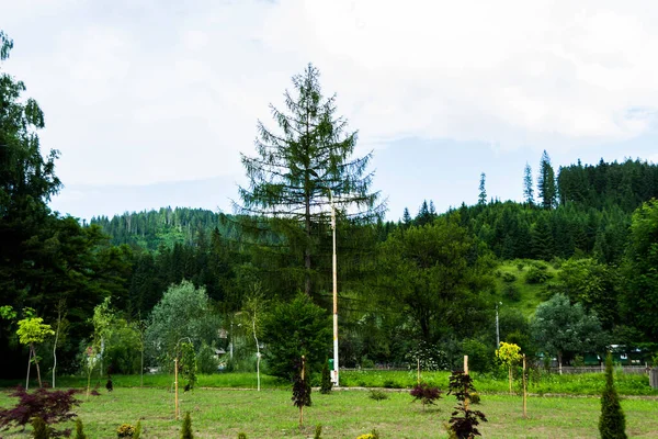 Landschaft Der Schönen Gegend Von Voronet Kreis Suceava Rumänien — Stockfoto