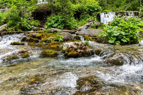 Närbild Källorna Källor Vattenfall Cascada Izvoare Bucegi Berg Rumänien — Stockfoto