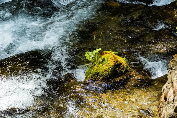 Agua Procedente Manantiales Cascada Cascada Izvoare Montañas Bucegi Rumania —  Fotos de Stock