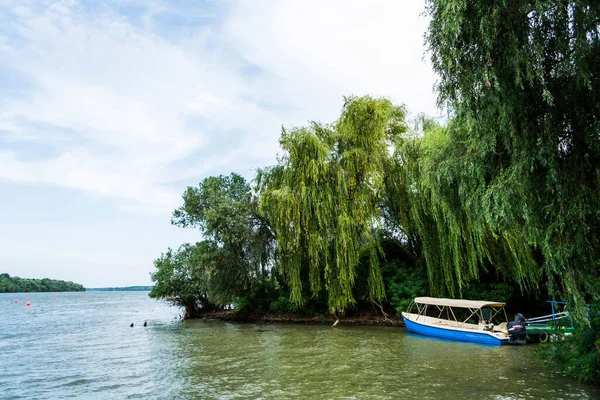 Danube Delta Rumunia Sierpień 2019 Piękny Krajobraz Delcie Dunaju Łodzie — Zdjęcie stockowe