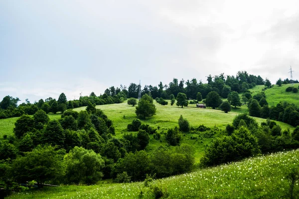 Widok Panoramiczny Gura Humorului Okręg Suczawa Bukowina Rumunia — Zdjęcie stockowe