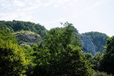 Padurea Craiului dağlarındaki Vadu Crisului mağarasına giden yolun manzarası. Apuseni, Romanya.