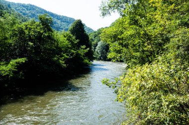 Crisul Repede Nehri. Padurea Craiului dağlarındaki Vadu Crisului mağarasına giden yolun manzarası. Apuseni, Romanya.